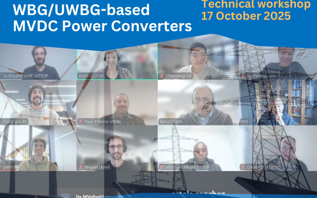 Safepower WP3 online workshop